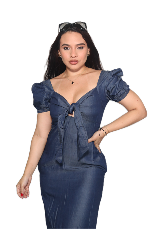 Cali Denim Maxi Dress