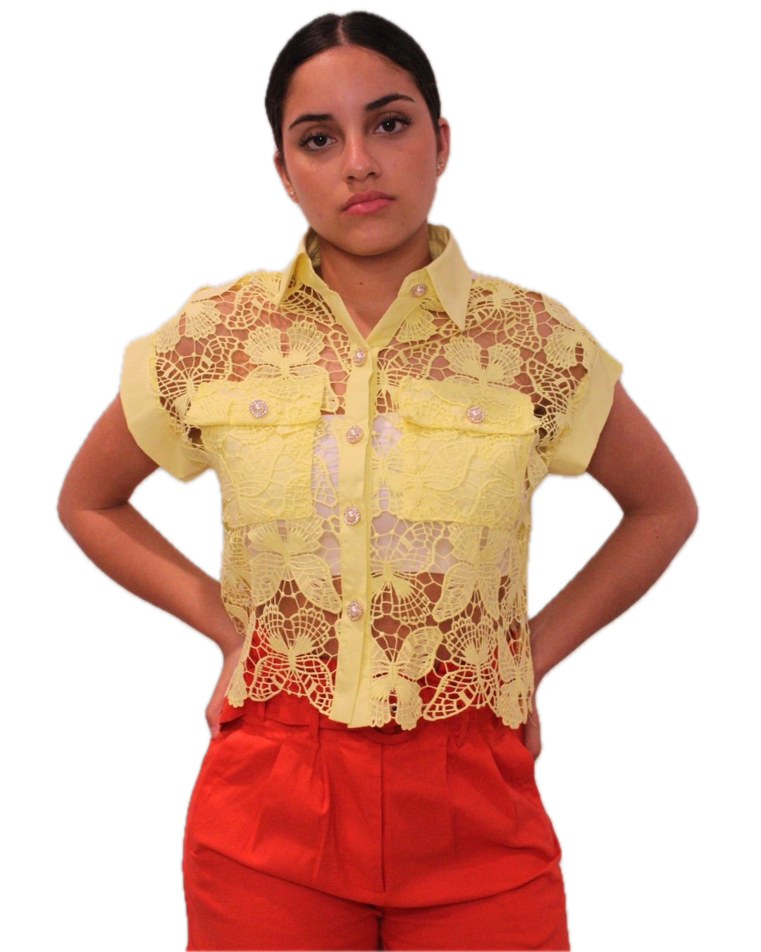 Pastel Lace Top