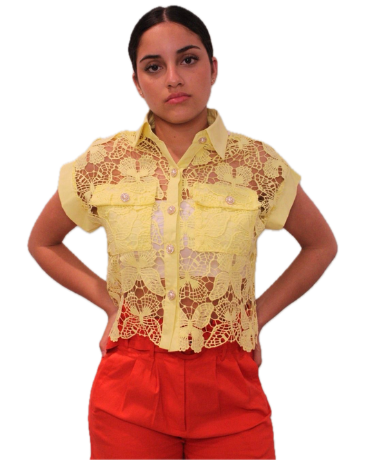 Pastel Lace Top